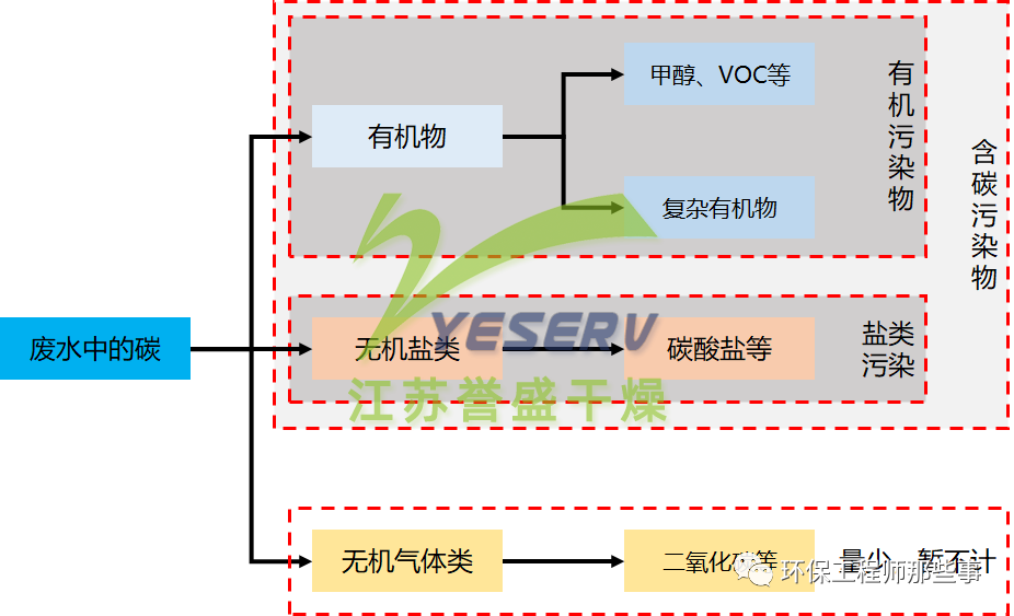 废水中的碳有什么?